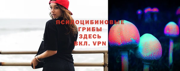 ешки Зеленодольск