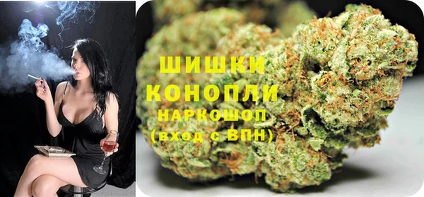 СК Зерноград