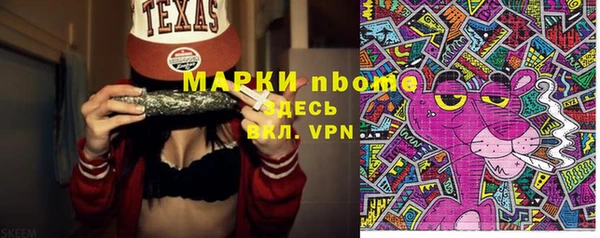 хмурый Зеленокумск