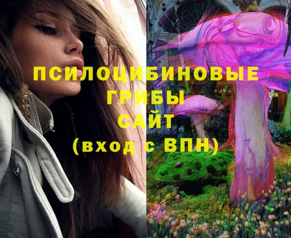 хмурый Зеленокумск