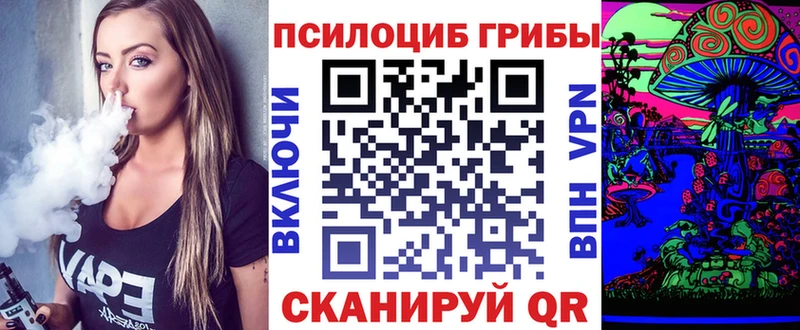 Купить где  Новочеркасск  Псилоцибиновые грибы MAGIC MUSHROOMS 